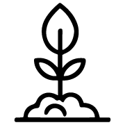 icon 10變革落地